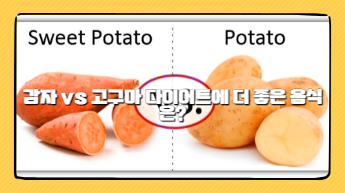 감자 vs 고구마 다이어트에 더 좋은 음식은?