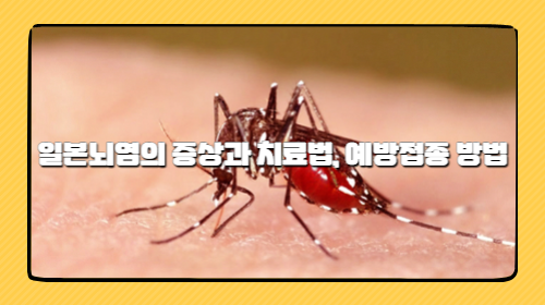 일본뇌염의 증상과 치료법, 예방접종 방법