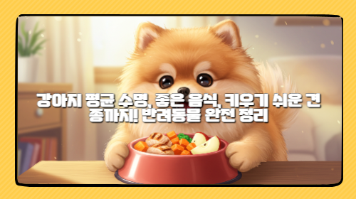 강아지 평균 수명, 좋은 음식, 키우기 쉬운 견종까지! 반려동물 완전 정리